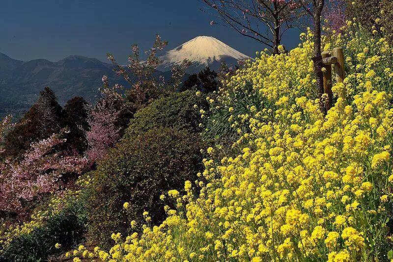 Hakone Pacific Hotel Exterior photo